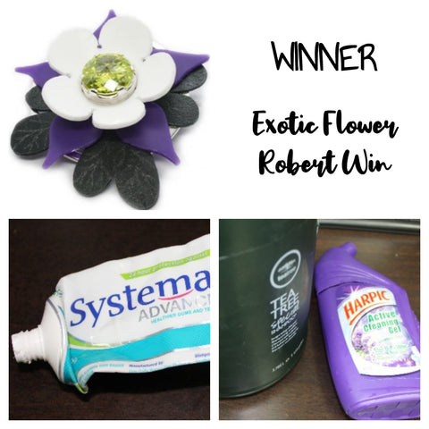 Organizer's Choice Winner